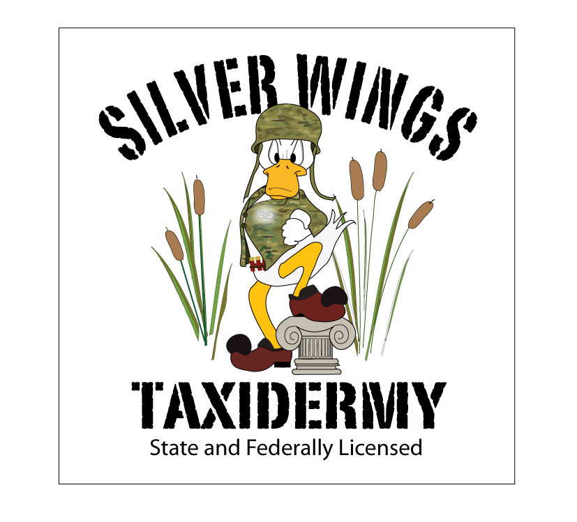 Silver Wings Taxidermy Logo
