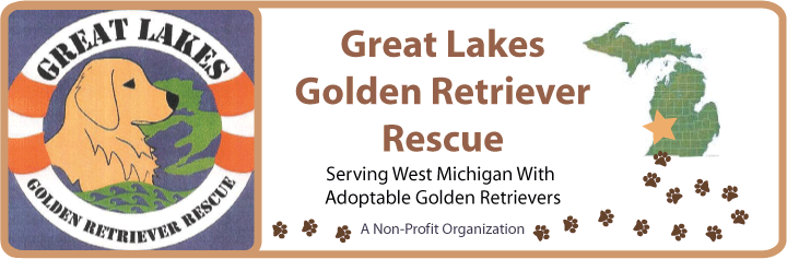 Great Lakes Golden Retriever Rescue Banner